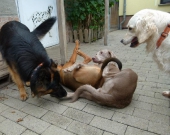 Pension_28
