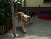 Pension_2