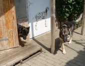 Pension_33