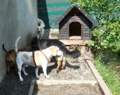 Pension_3