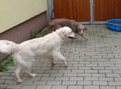 Pension_3