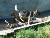 Pension_5
