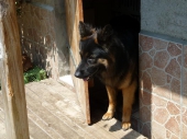 Pension_7