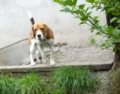 Pension_15