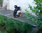 Pension_1