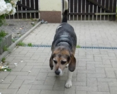 Pension_23