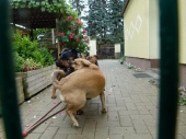 Pension_25