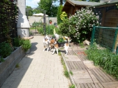 Pension_2
