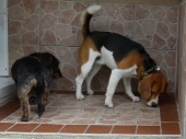 Pension_2