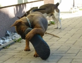 Pension_2