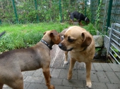 Pension_2
