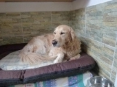 Pension_2
