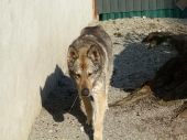 Pension_49