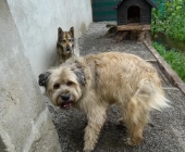 Pension_5