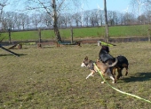 Betreuung_5
