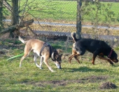 Betreuung_6