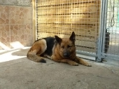 Pension_20