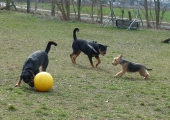 pension_22