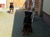 Pension_29