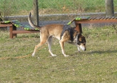 Pension_2