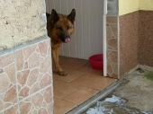 Pension_39