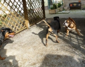 Pension_73