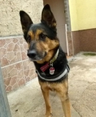 Pension_113