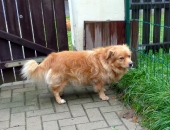 Pension_20