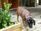Pension_25