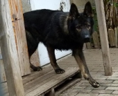 Pension_28