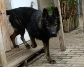 Pension_29