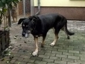 Pension_2
