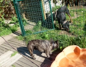 Pension_39