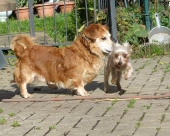 Pension_44