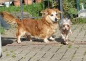 Pension_45