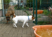 Pension_4