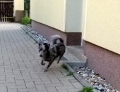 Pension_11