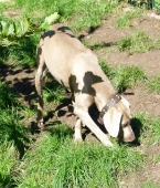 Pension_12