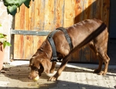 Pension_22
