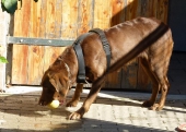 Pension_23