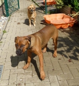 Pension_28