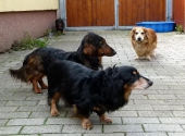 Pension_4