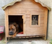 Pension_109