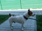Pension_127