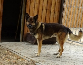 Pension_12
