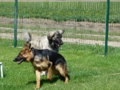 Pension_22