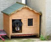 Pension_29
