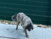 Pension_2