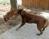 Pension_2