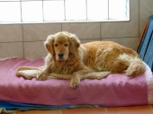 Pension_2